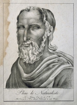 view Caius Plinius Secundus. Lithograph by Dumont.