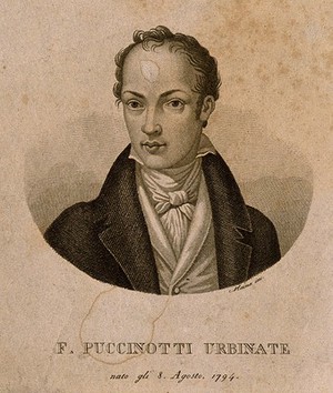 view Francesco Puccinotti. Lithograph by G. Castagnola.