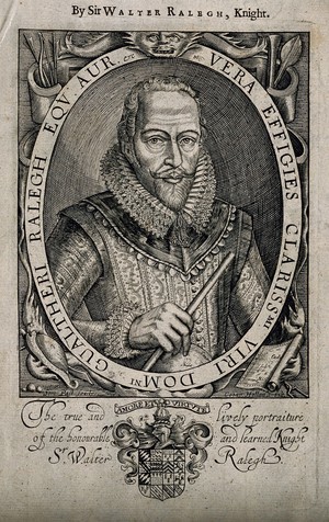 view Sir Walter Raleigh. Line engraving by S. de Passe, 1621.