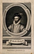 view Sir Walter Raleigh. Line engraving, 1755, after J. Houbraken, 1739.