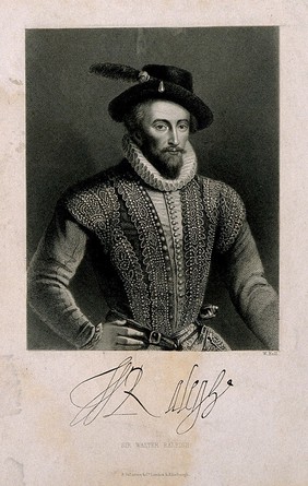 Sir Walter Raleigh. Stipple engraving by J. Posselwhite.