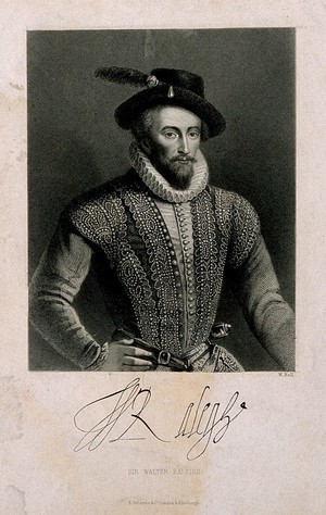 view Sir Walter Raleigh. Stipple engraving by J. Posselwhite.