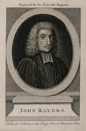 view John Ray. Line engraving after W. Faithorne.
