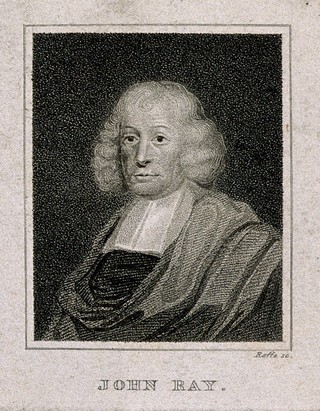 John Ray. Stipple engraving by J. Roffe, 1820, after Mary Beale.