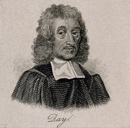 John Ray. Line engraving after Mary Beale.