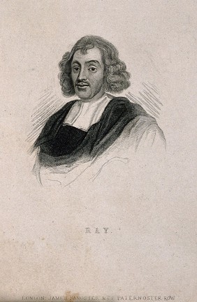 John Ray. Stipple engraving.