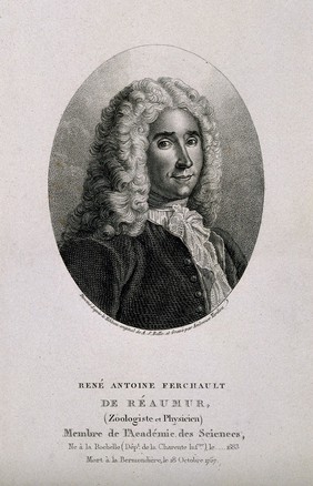 René-Antoine Ferchault de Réaumur. Stipple engraving by A. Tardieu after A. S. Belle.