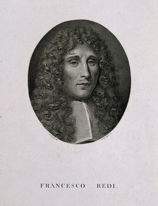 Francesco Redi. Line engraving by B. Bordiga after G. Longhi.