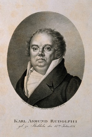 view Karl Asmund Rudolphi. Lithograph by A. Kunike after A. Temmel.