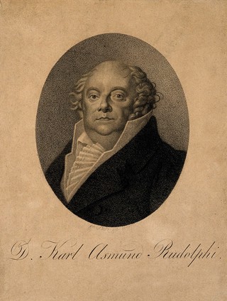 Karl Asmund Rudolphi. Stipple engraving by F. Bolt, 1820, after A. Temmel.