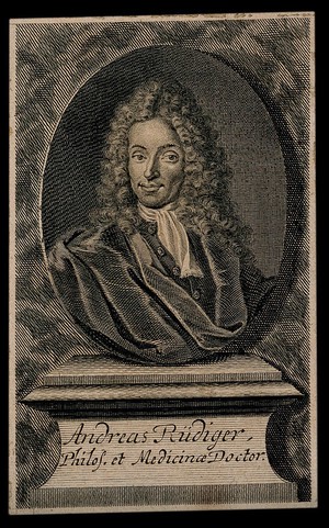 view Andreas Rüdiger [Ridiger]. Line engraving.