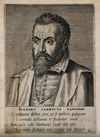 Johannes Sambucus. Line engraving by P. Galle, 1572.