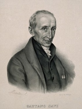 Gaetano Savi. Lithograph by Martini.