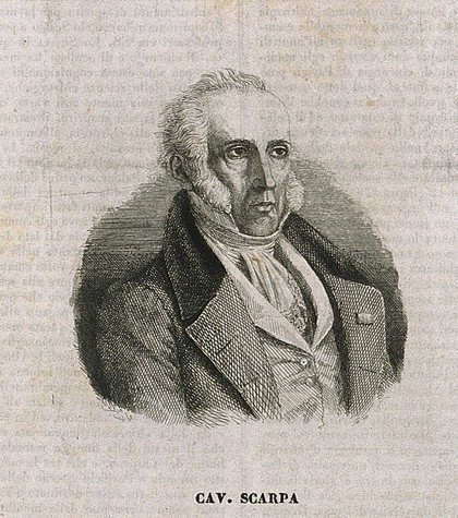 Antonio Scarpa. Line engraving.