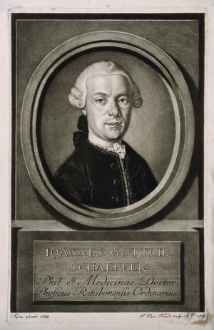 view Johann Gottlieb Schaeffer. Mezzotint by J. E. Haid, 1775, after [F. X.?] Span, 1759.