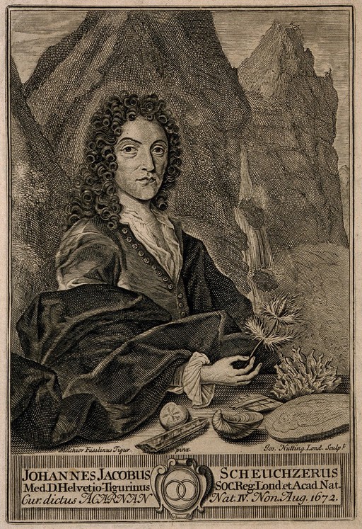 Johann Jacob Scheuchzer, holding a thistle. Line engraving by J. Nutting, 1723, after M. Füsslinus.