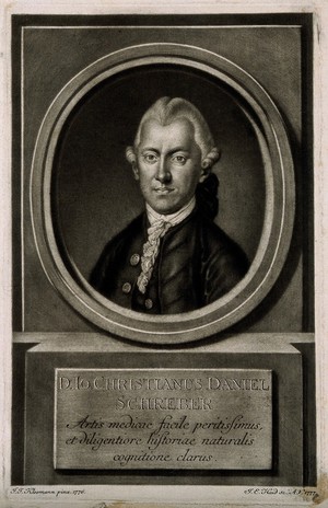 view Johann Christian Daniel von Schreber. Mezzotint by J. E. Haid, 1777, after J. J. Kleeman, 1776.