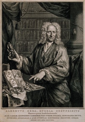 Albertus Seba. Line engraving by J. Houbraken after J. M. Quinkhard.