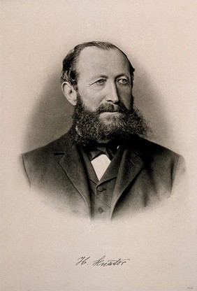 Hermann Senator. Photogravure.