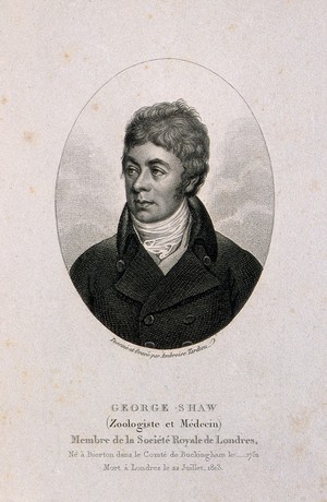 view George Shaw. Stipple engraving by A. Tardieu after himself after J. Russell.