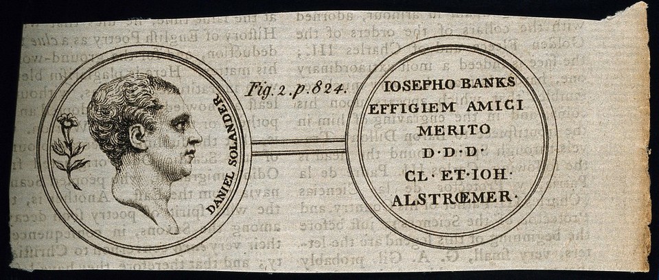 Daniel Charles Solander. Line engraving, 1784.