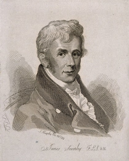 James Sowerby. Line engraving by Mrs D. Turner after T. Heaphy, 1818.