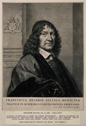 Franciscus Sylvius [Deleboe]. Line engraving by C. van Dalen junior after himself.