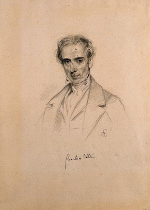 view Gioacchimo Taddei. Pencil drawing by C. E. Liverati, 1841.