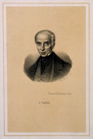 view Gioacchimo Taddei. Lithograph by G. Castagnola.