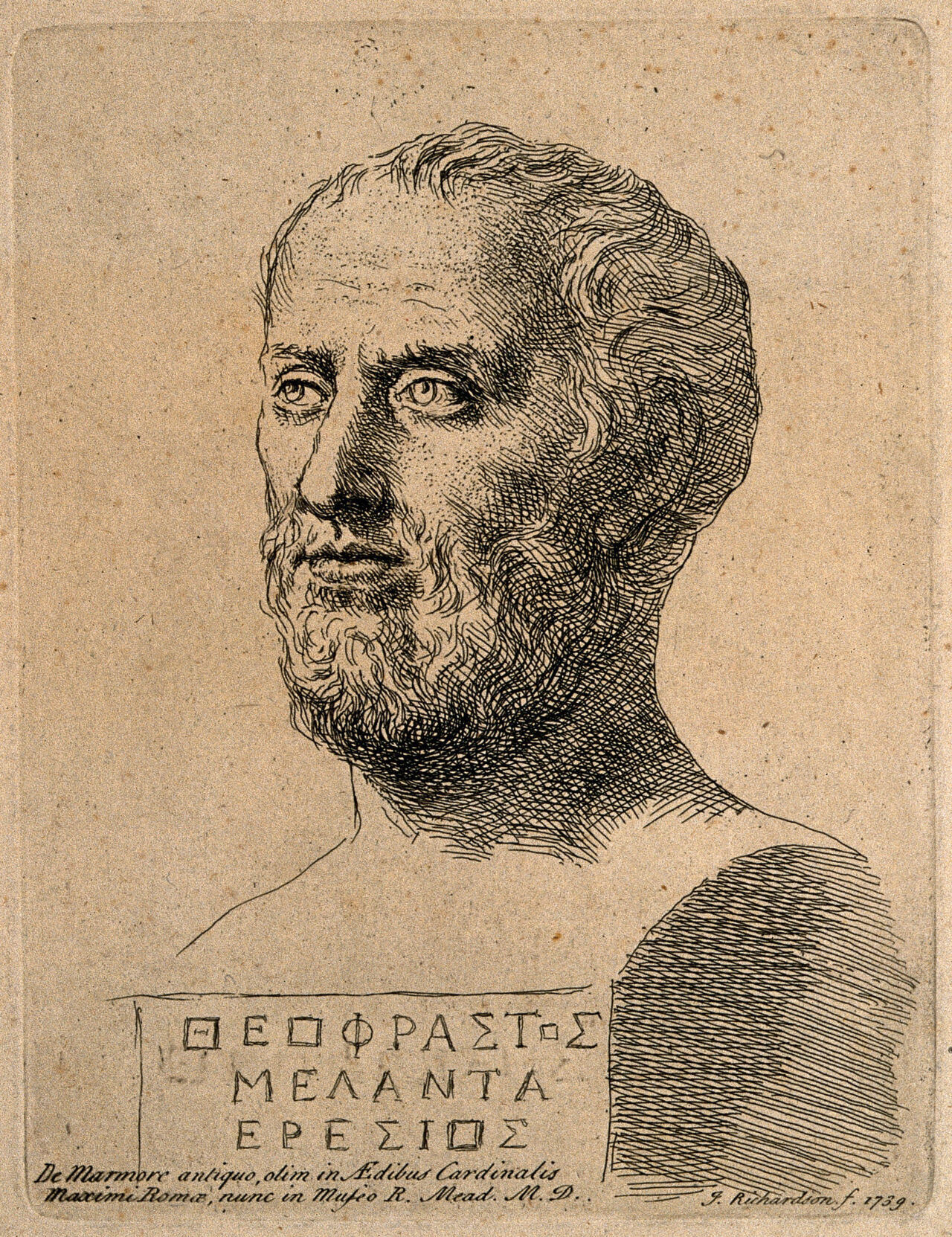 Theophrastus. Etching by J. Richardson the elder, 1739., 1739, by Jonathan Richardson