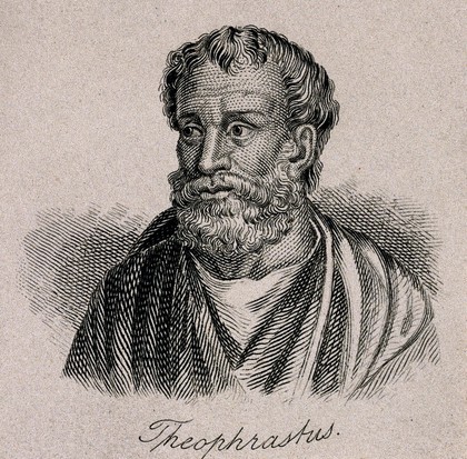 Theophrastus. Line engraving.