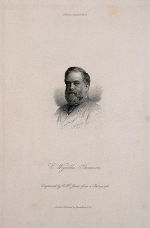 view Sir Charles Wyville Thomson. Stipple engraving by C. H. Jeens, 1876.