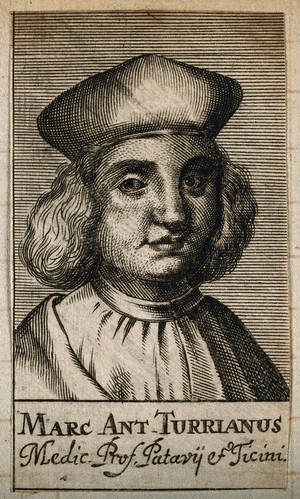 view Marc Antonio della Torre [Turrianus]. Line engraving, 1688.