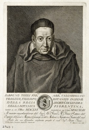 view Bruno Tozzi. Line engraving by F. Allegrini, 1764, after A. Coppoli.