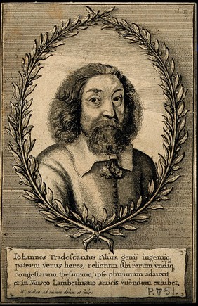 John Tradescant II. Etching by W. Hollar, 1656, after himself.