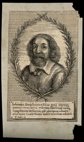 John Tradescant II. Wood engraving by E. Whimper after W. Hollar, 1656.
