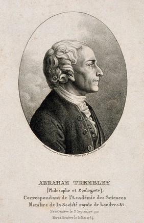 Abraham Trembley. Stipple engraving by A. Tardieu after Clemens.