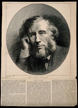 view John Tyndall. Wood engraving by C. Roberts.