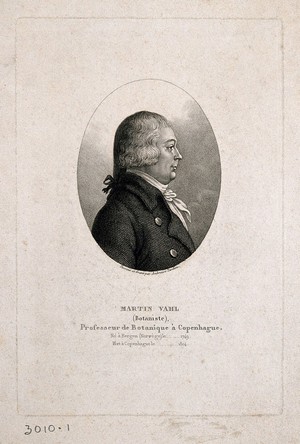 view Martin Vahl. Stipple engraving by A. Tardieu after himself.