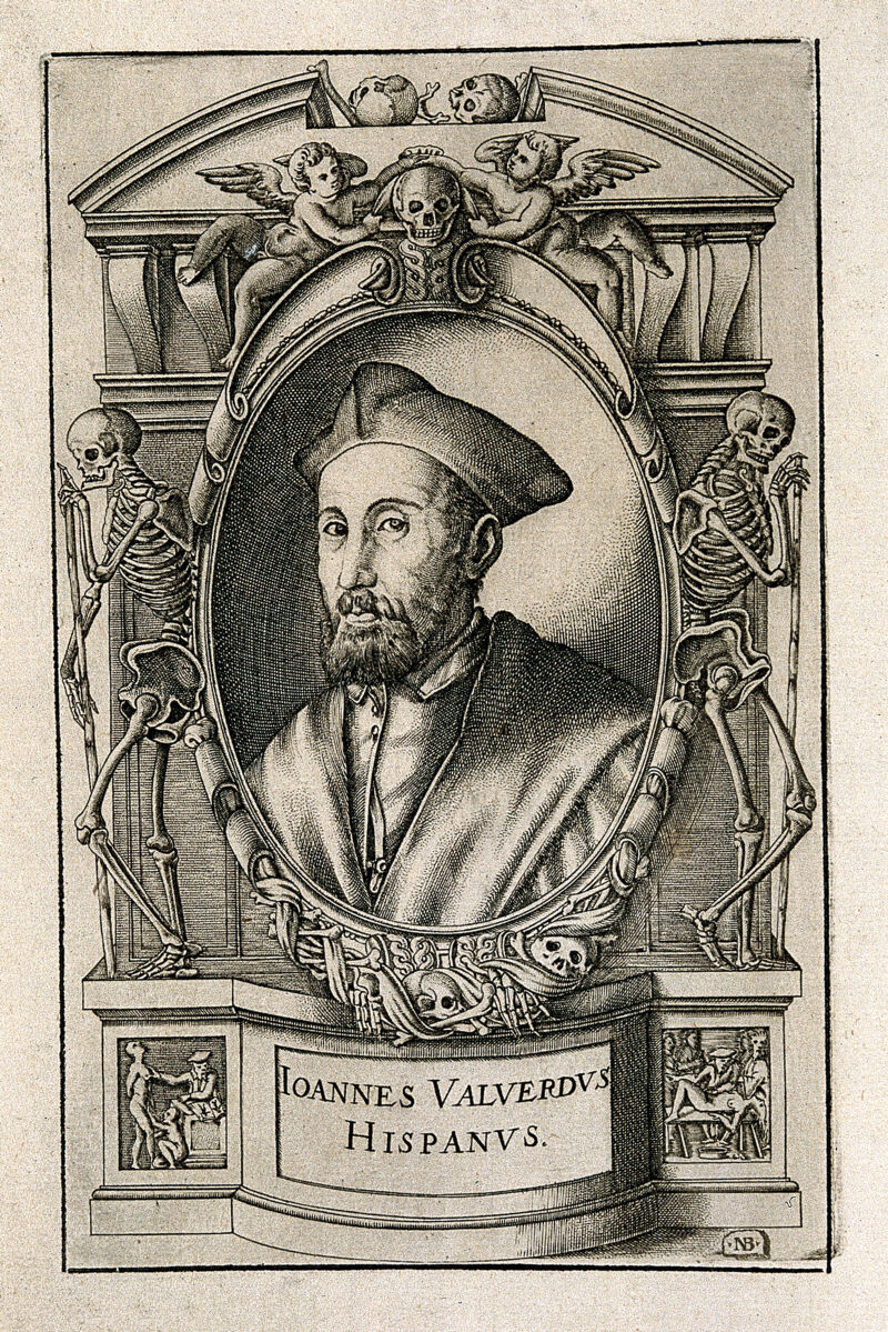 Juan Valverde de Hamusco. Line engraving by N. Beatrizet, 1589., 1589, by Nicolas Beatrizet