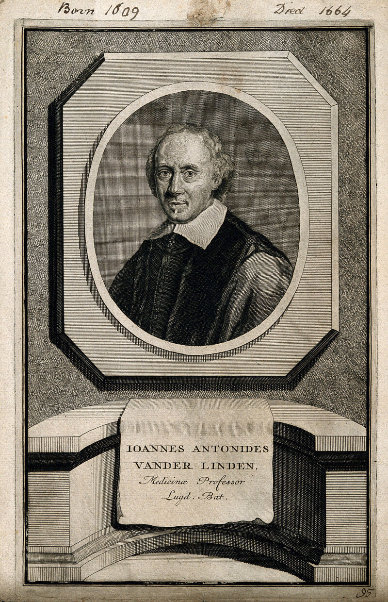 Jan Antonides van der Linden. Line engraving, 1720, after A. van den Tempel., 1720, by Abraham Lambertsz van den Tempel