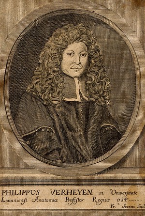 view Philip Verheyen. Line engraving by F. Sesoni, 1734.