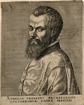 Andreas Vesalius. Line engraving by P. Galle, 1572, after J. S. van Calcar (?).