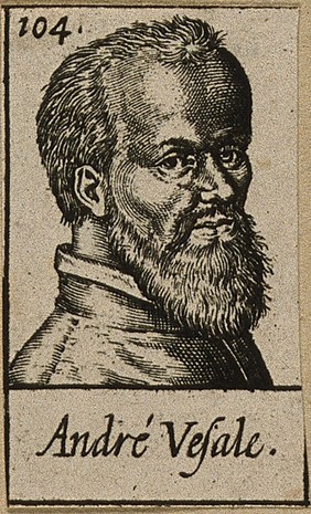 Andreas Vesalius. Line engraving by L. Gaultier.