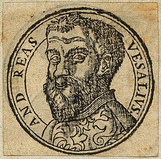 Andreas Vesalius. Woodcut after J. S. van Calcar (?).