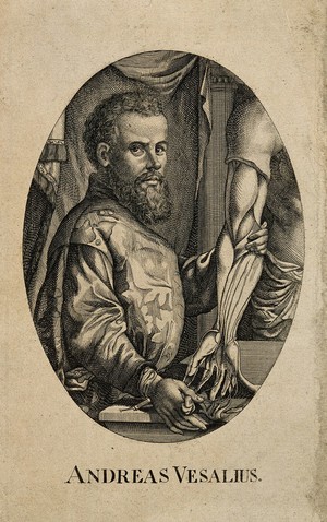 view Andreas Vesalius. Line engraving after J. Wandelaar.