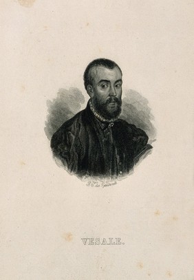 Andreas Vesalius. Line engraving by W.J.J. Des Hauvents.