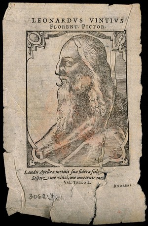 view Leonardo da Vinci. Woodcut by T. Stimmer, 1589, after L. da Vinci.