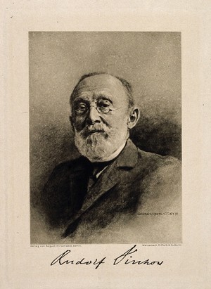 view Rudolf Ludwig Karl Virchow. Photogravure by Meisenbach Riffarth & Co. after G. L. Meyn.