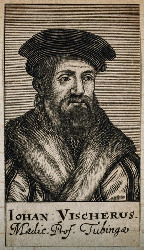 Johann Vischer. Line engraving, 1688.
